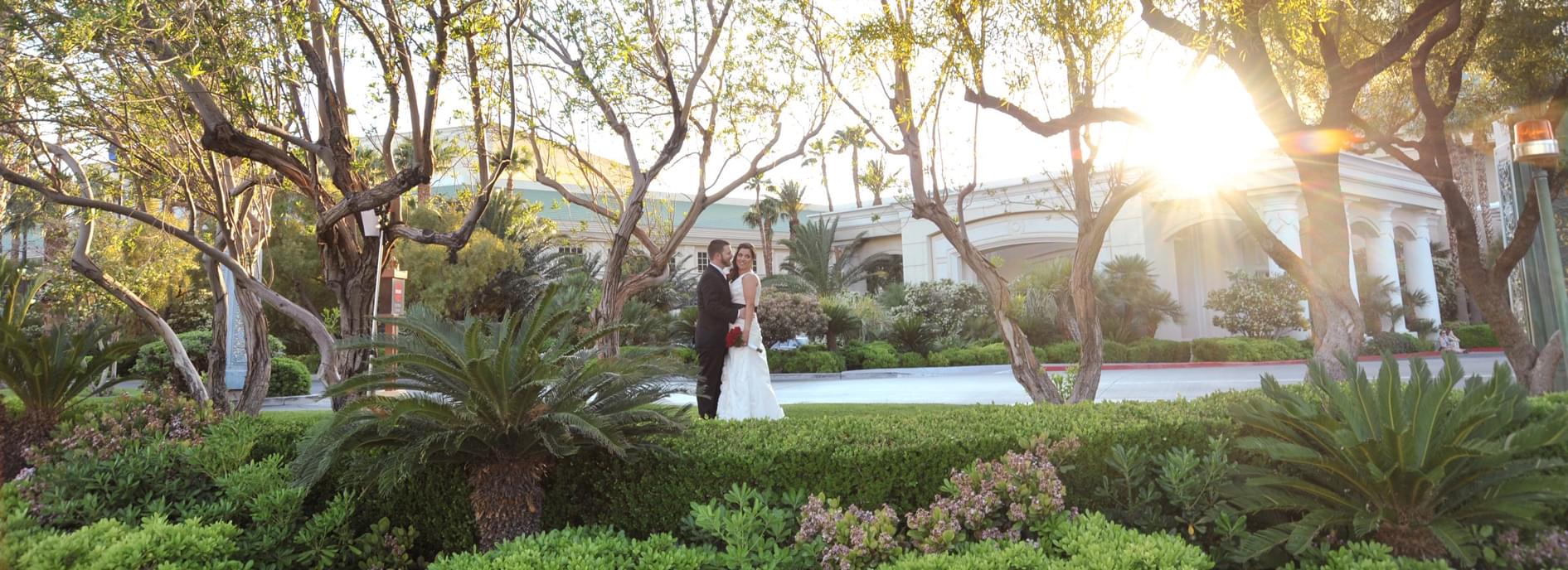 Las Vegas Strip Garden Weddings